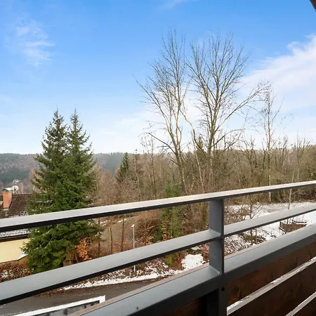 Rezidence Lyzarska Apartment Janske Lazne